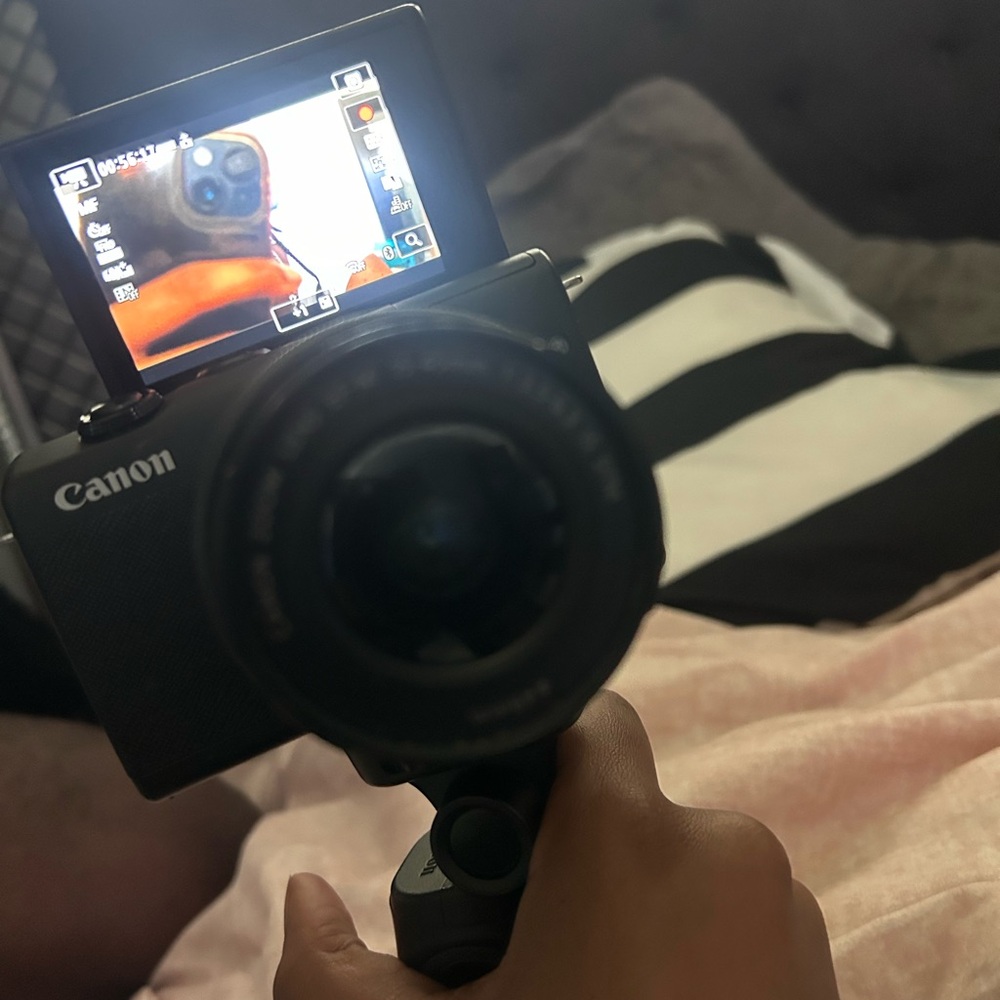Canon Black Digital Camera with Articulating Screen
